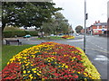 Floral displays, Balderstone Road