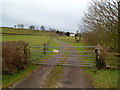 ST4288 : Access lane to Salisbury Farmhouse, St Brides Netherwent by Jaggery