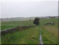 Farm track, Pyeston