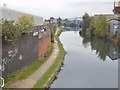 Lower Walsall Street Canal