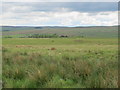NY8596 : Moorland north of Bagraw by Mike Quinn