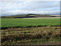 Farmland west of the A914