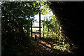 The Minster Way towards Scorborough