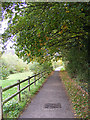 Footpath to Brook Farm Road