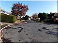 View from the turning circle at the end of Rees Close, Malpas, Newport