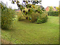 Natural/Nature area off the footpath