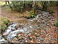 Ford on a woodland path near Kinlochleven