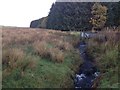 Small stream near Cauldholm