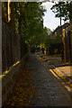 Cobbled path, Stepney Green Gardens