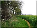 Path at Pretwood