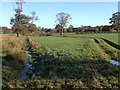 Farmland near Brae