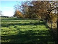 Fence boundary of Rossmuir Plantation