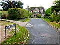 Looking into Church Grove