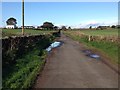 Low Road near Tinwald