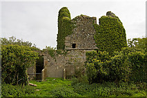 T1110 : Castles of Leinster: Ballyconor, Wexford (1) by Mike Searle
