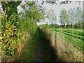 Footpath south of West Chiltington