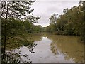 Vann Lake in October