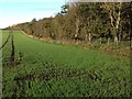 Farmland near Jackson Rigg