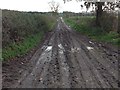 NY4570 : Muddy farm track at Whitecloserigg by Steven Brown