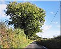 Minor road to Huish Champflower