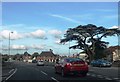 Cedar Tree Junction - Bagshot