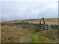 NS9209 : Stile on the Southern Upland Way by Alan O'Dowd