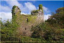 R8703 : Castles of Munster: Castle Cooke, Cork (2) by Mike Searle
