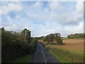 Crops surrounding an isolated pair of trees near Lower Bourton