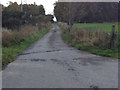 Old Military Road near Easter Brae