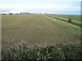 Farmland and Industry, near Immingham