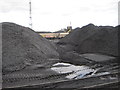 Loading imported coal at Immingham Docks