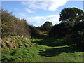 Tayock, Scottish Wildlife Trust