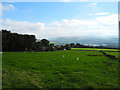 View east from Hobson Moor Road