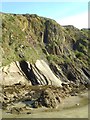 Folded rock strata at The Settlands