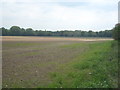 Field at the end of Church Lane Sawston