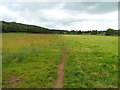 Track SW from Church Town, Backwell