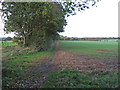 Footpath on field boundary, Felsted