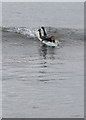 NZ8612 : Sandsend surfer by Pauline E