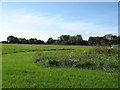 Field south of Carbrooke