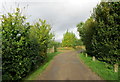 Access Lane from Poulton Farm