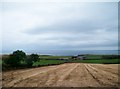 Harvested arable land north of Whitepark Road