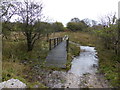 Footbridge over the stream