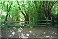 Footpath to Vinehall Forest