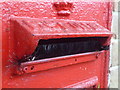 Walhampton: postbox bristles