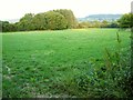 SY1199 : Field near Sowton by Derek Harper