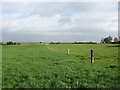 SP5568 : Farmland near Ashby Grange by David Purchase