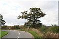 The footpath to Norton Disney