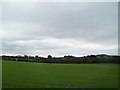 Farmland between Clare Road and the village of Carnduff