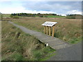 Boardwalk in Cathkin Marsh Wildlife Reserve