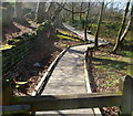 Wooden path through Coed Doctor in Llanberis